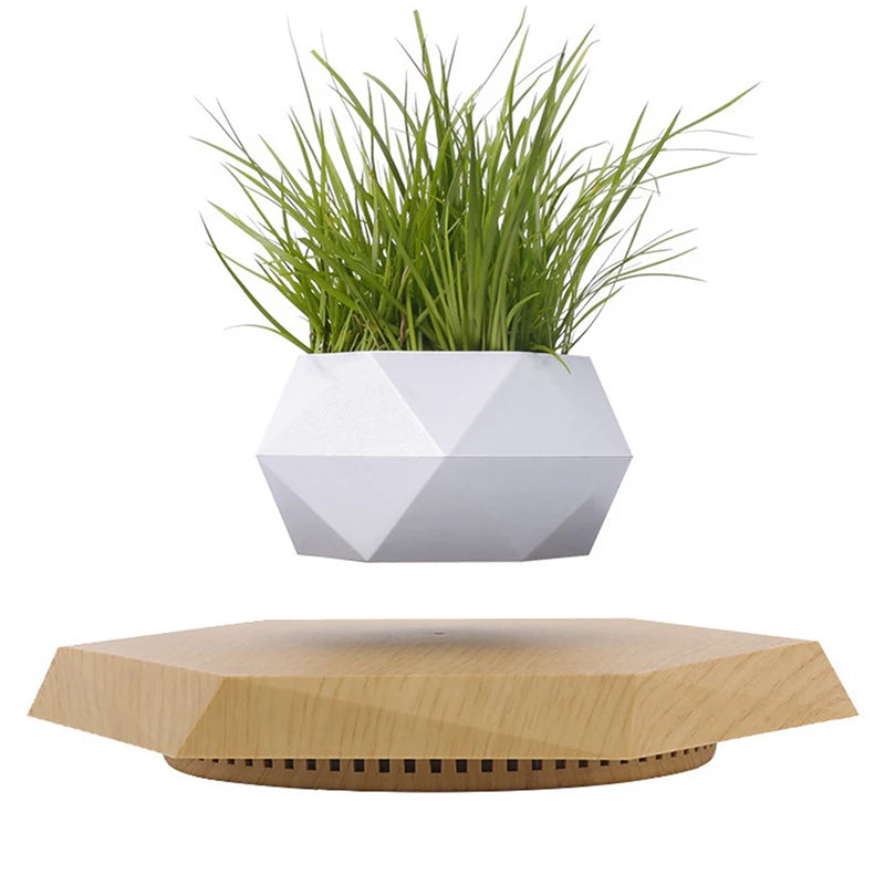 Magic Floating Plant Pot