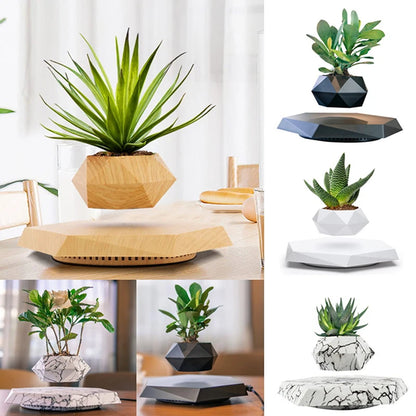 Magic Floating Plant Pot
