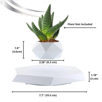 Magic Floating Plant Pot
