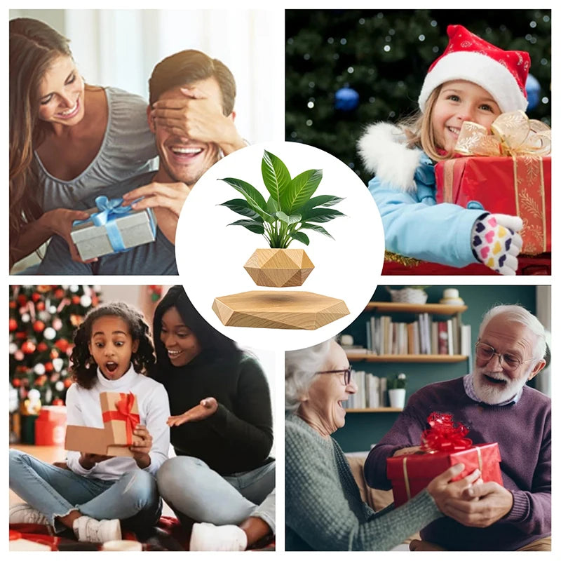 Magic Floating Plant Pot