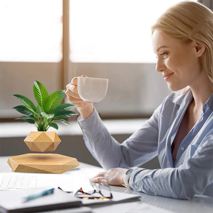 Magic Floating Plant Pot