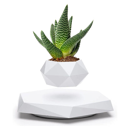 Magic Floating Plant Pot