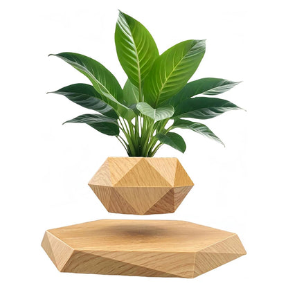 Magic Floating Plant Pot